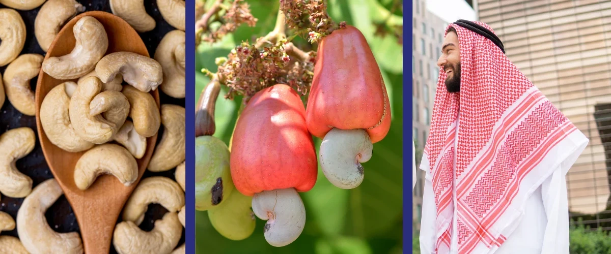 Why Middle East Investors Should Bet Big On Africa's Cashew Processing Industry?
