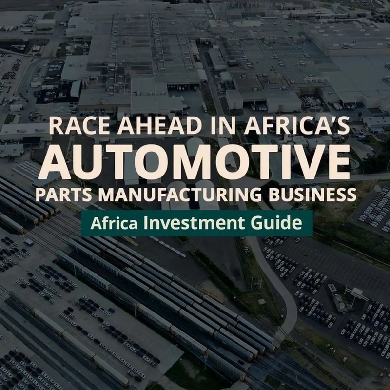 Africa's Automotive Spares & Parts Manufacturing Business- Africa For Investors AFI Arise IIP Infographic