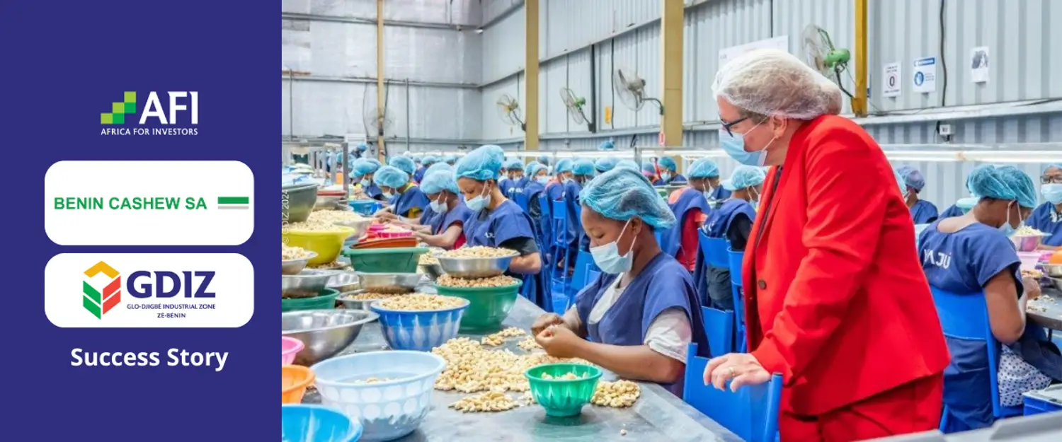 Benin Cashew SA: Taking Significant Strides in Africa's Agro-Industrial Sector