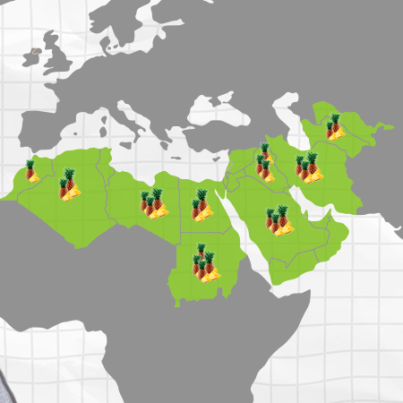 Investing in Africa’s Pineapple Processing Industry: A Promising Opportunity for Middle Eastern Investors