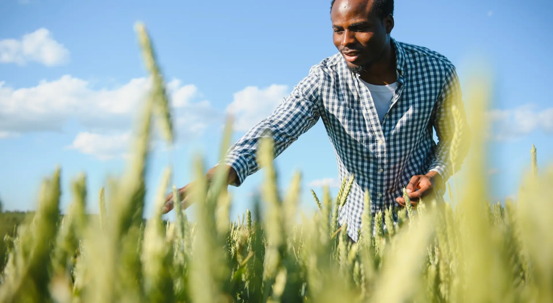 The Flourishing Opportunity: Wheat Flour Processing in Africa