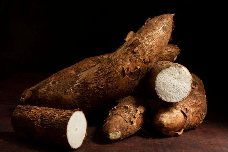Cassava Business in Africa: A Lucrative Investment Opportunity