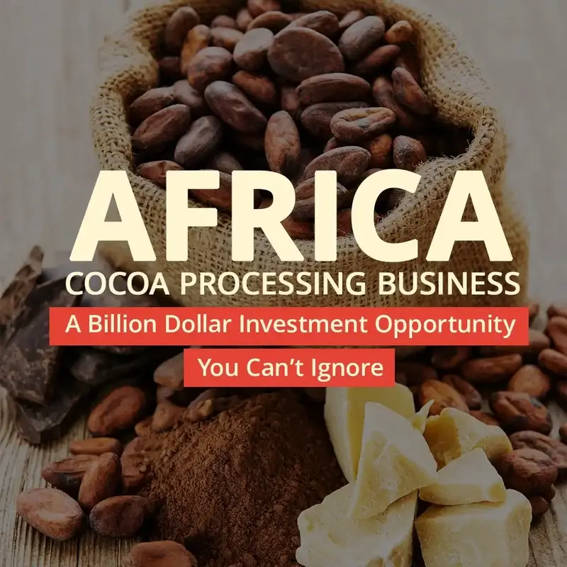 Cocoa Processing Business in Africa_Arise IIP_Africa For Investors
