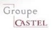 PIA-Togo-Castel Groupe, Logos of investment companies and clients associated with Arise IIP, Africa For Investors