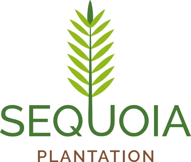 PIC Sequoia, Logos of investment companies and clients associated with Arise IIP, Africa For Investors