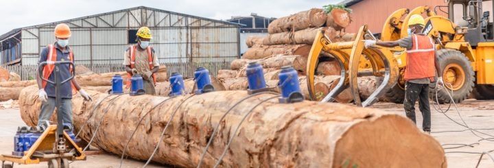 Veneer Manufacturing Capabilites & Facilities in GSEZ, Gabon, Arise IIP industrial zones, SEZs of Africa For Investors