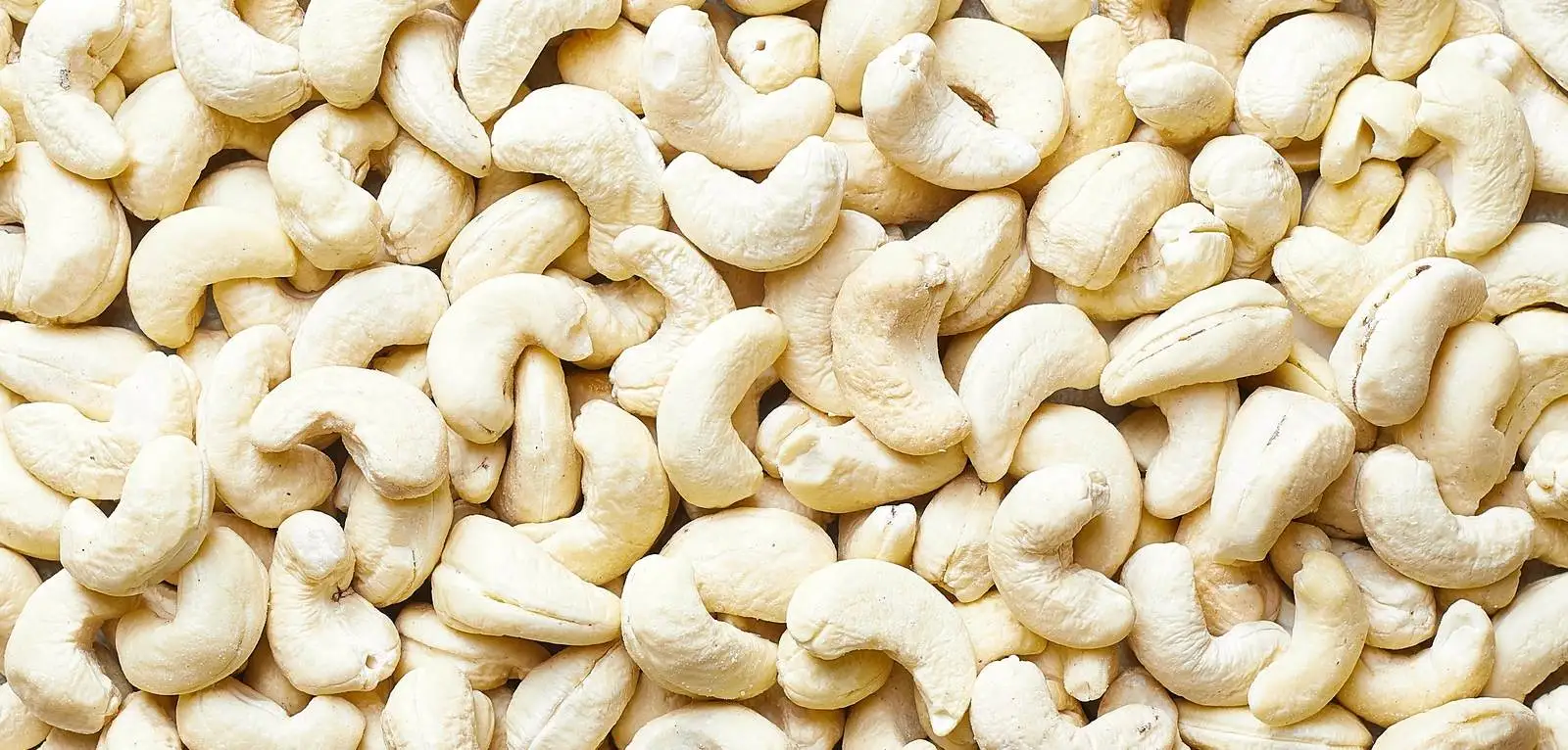 Cashew  Business In Africa, Explore Investment Opportunities in Arise IIP SEZs, Special Economic Zones Guide.