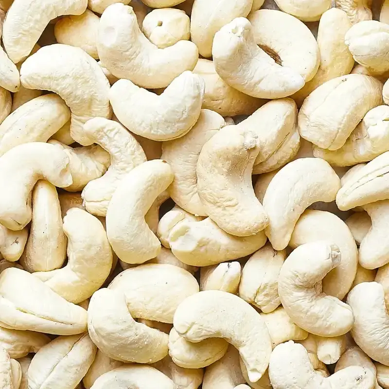 Cashew Business In Africa, Explore Investment Opportunities in Arise IIP SEZs, Special Economic Zones Guide.