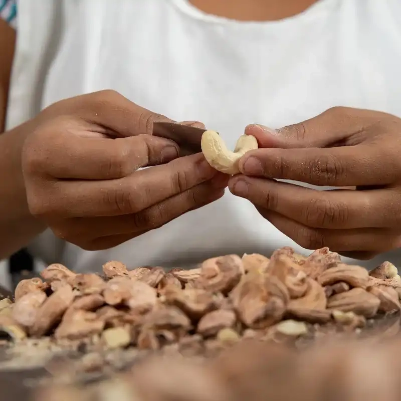 Cashew Value-Add (Salted, Roasted, Flavoured) Business Opportunity, Cashew By-Product Markets, Africa For Investors