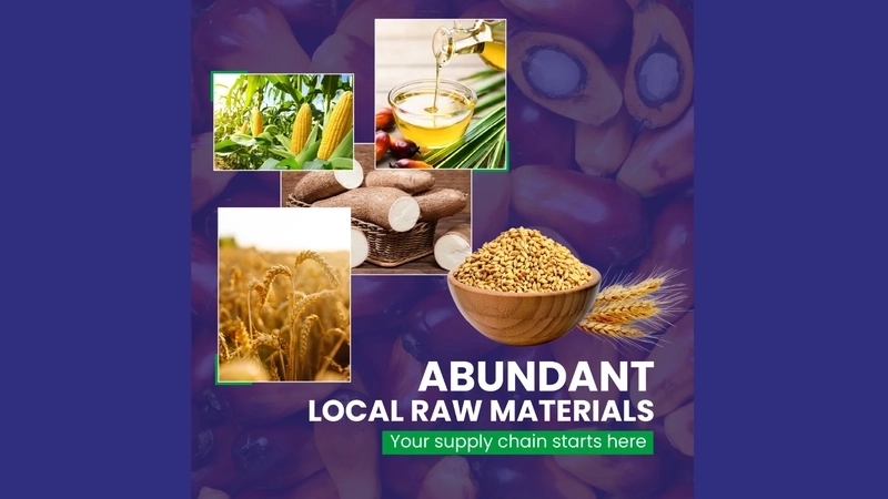 Booming Demand_Invest in Snacks, Chips & Biscuits Manufacturing Business In Africa_Africa For Investors_AFI