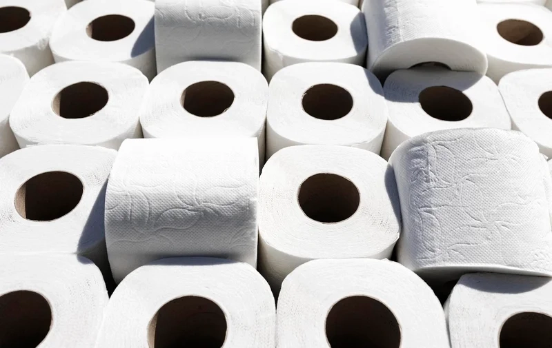 Hygiene Products (Tissue Paper, Paper Towels) Business Opportunity, Paper & Pulp By-Product Markets, Africa For Investors