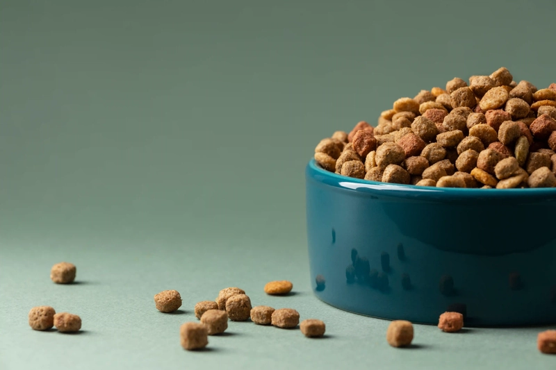 Kribble in a Bowl, Pet Food Business