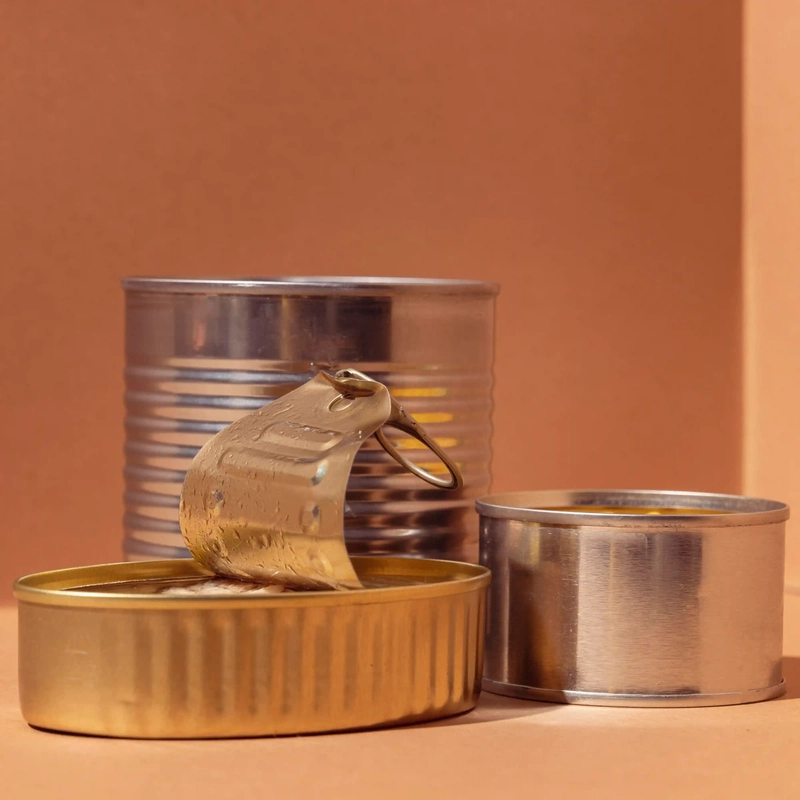 Metal Packaging Materials Business Opportunity in PIC, Republic of Congo, Metal Recycling By-Product Markets, Africa For Investors