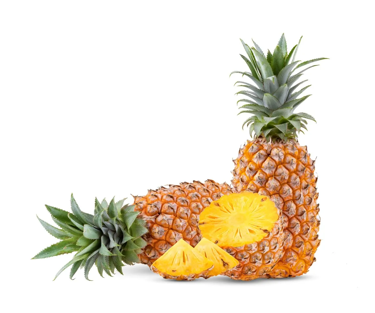 Pineapple business advantages in GDIZ, Benin, Africa, Arise IIP industrial zones