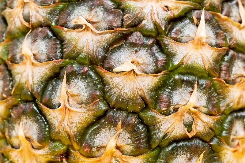 Pineapple Skins for Feed Business Opportunity, Pineapple By-Product Markets, Africa For Investors