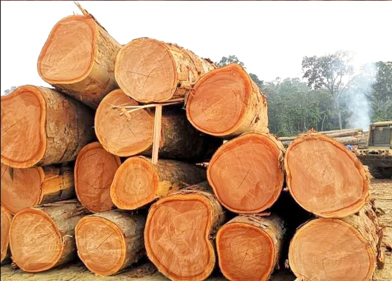 Sawn Wood Capabilites & Facilities in GSEZ, Gabon, Arise IIP industrial zones, SEZs of Africa For Investors