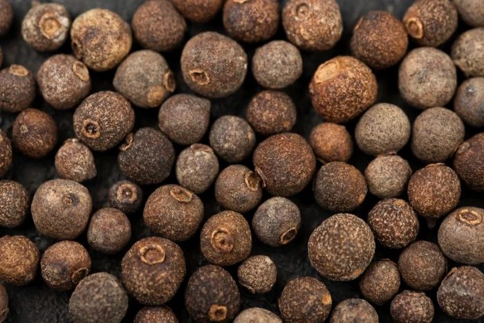 Shea Cake (Fertilizers, Animal Feed) Business Opportunity in GDIZ, Benin, Shea Processing By-Product Markets, Africa For Investors