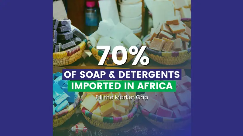 Soaps & Detergent Business potential in africa, Arise IIP, SEZs, Africa For Investors, local access for raw materials