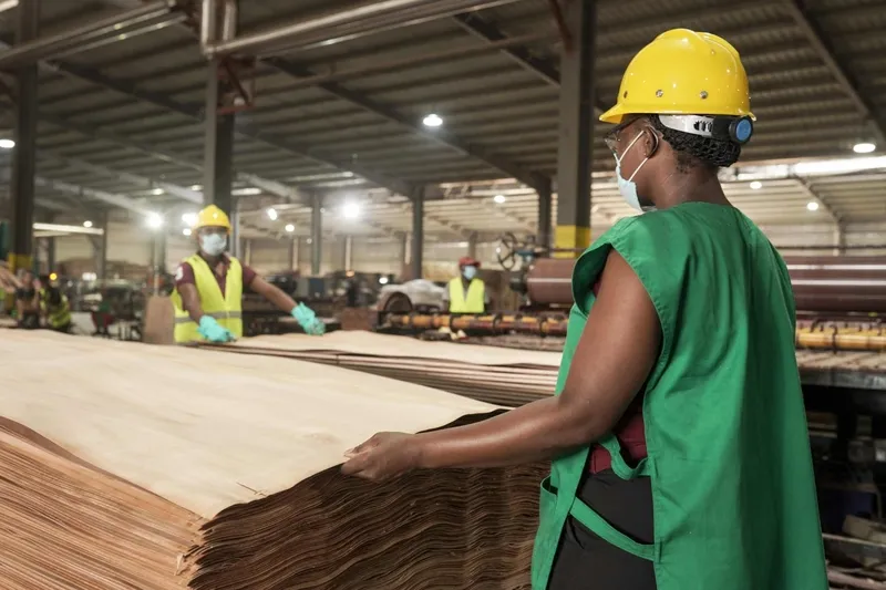 Wood Processing Capabilites & Facilities in GSEZ, Gabon, Arise IIP industrial zones, SEZs of Africa For Investors