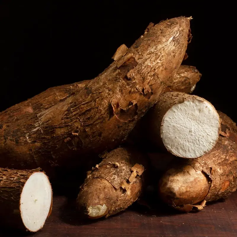 Cassava Business Opportunity, Vegetables By-Product Markets, Africa For Investors