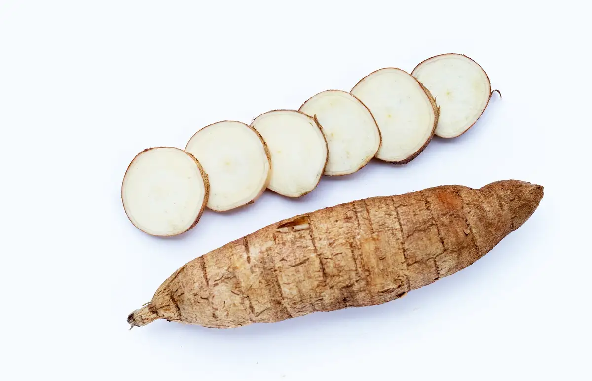 Cassava business advantages in Africa