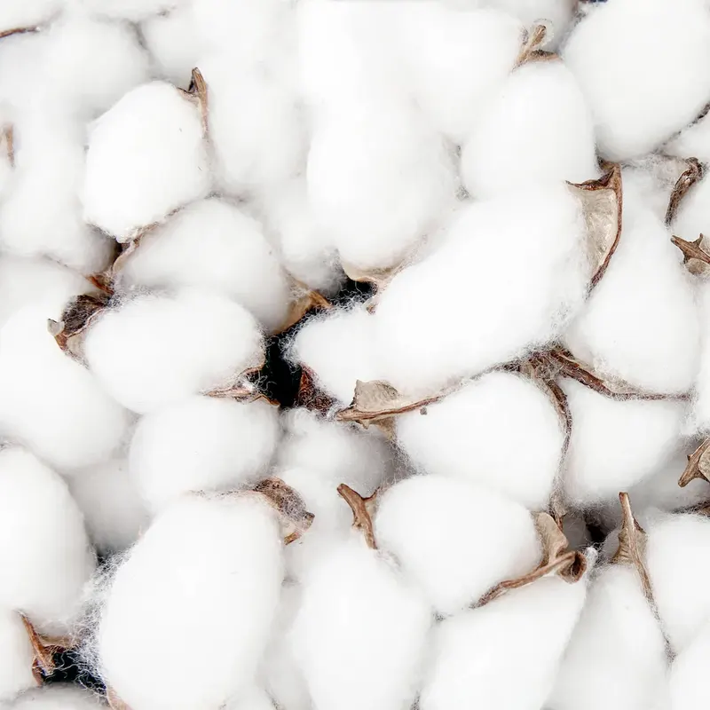 Cotton Lint Business Opportunity, Cotton By-Product Markets, Africa For Investors