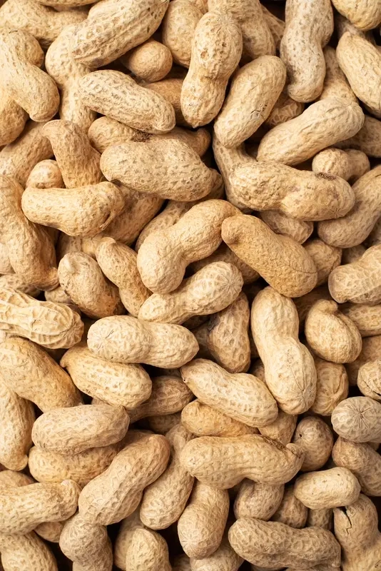 Peanuts Business Opportunity, Nuts & Dry Fruits By-Product Markets, Africa For Investors