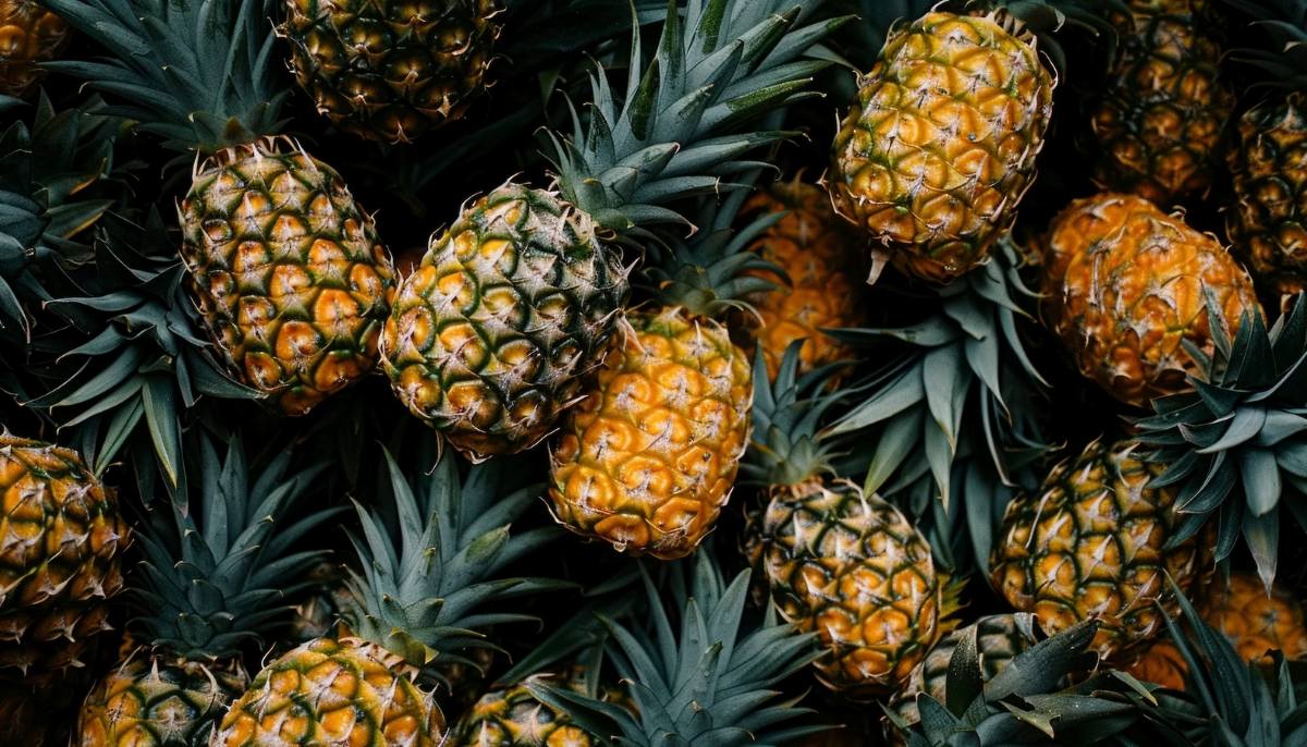 Pineapple  Business In Africa, Explore Investment Opportunities in Arise IIP SEZs, Special Economic Zones Guide.