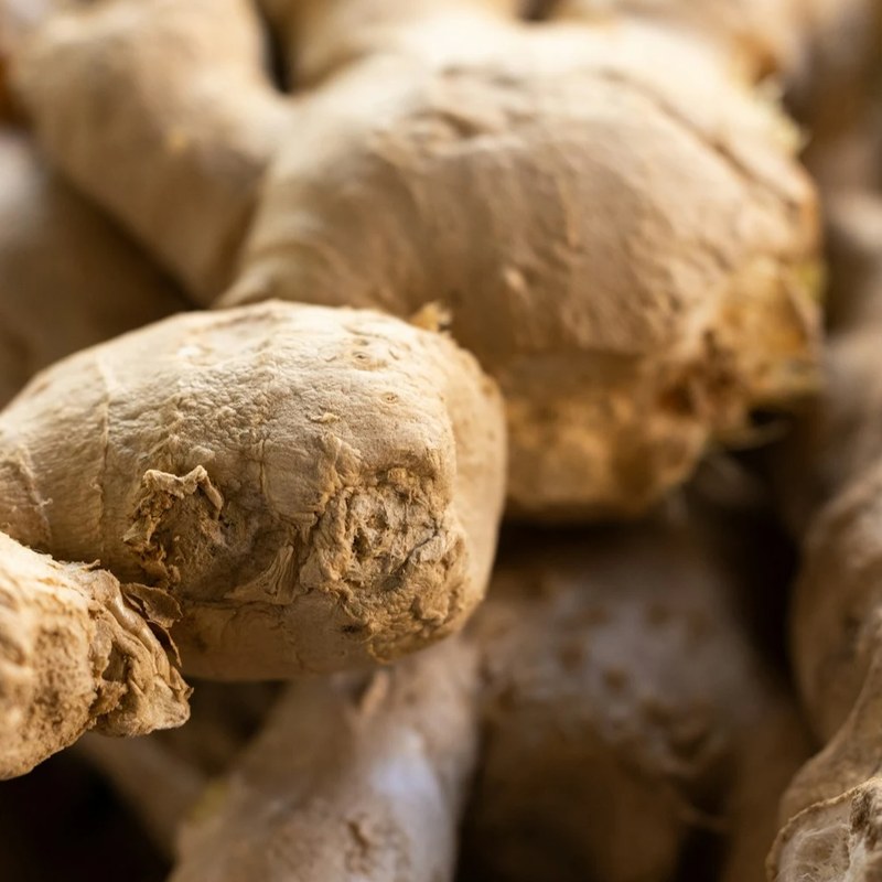 Ginger Business Investment in IPR, Nigeria, Africa, Industry Opportunities for Investors in Arise IIP SEZs, Special Economic Zones.