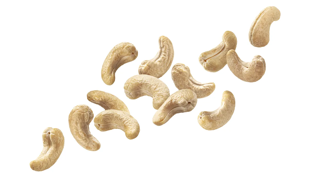 Cashew business advantages in GDIZ, Benin, Africa, Arise IIP industrial zones