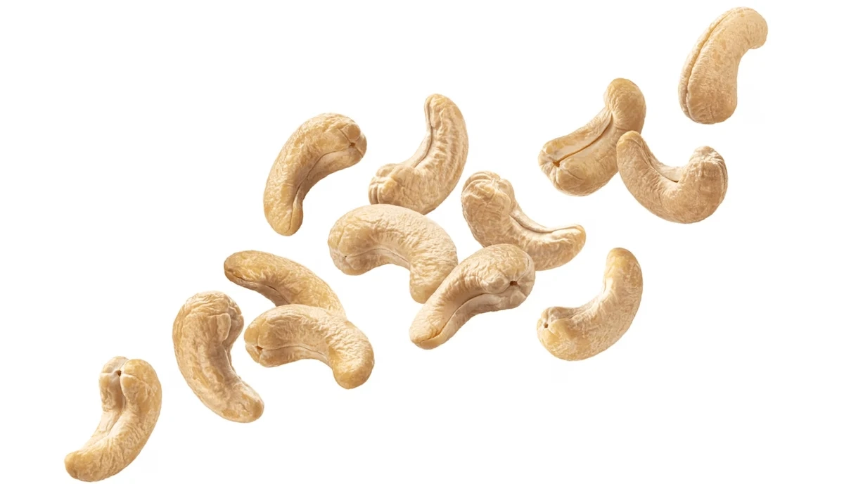Cashew business advantages in Africa