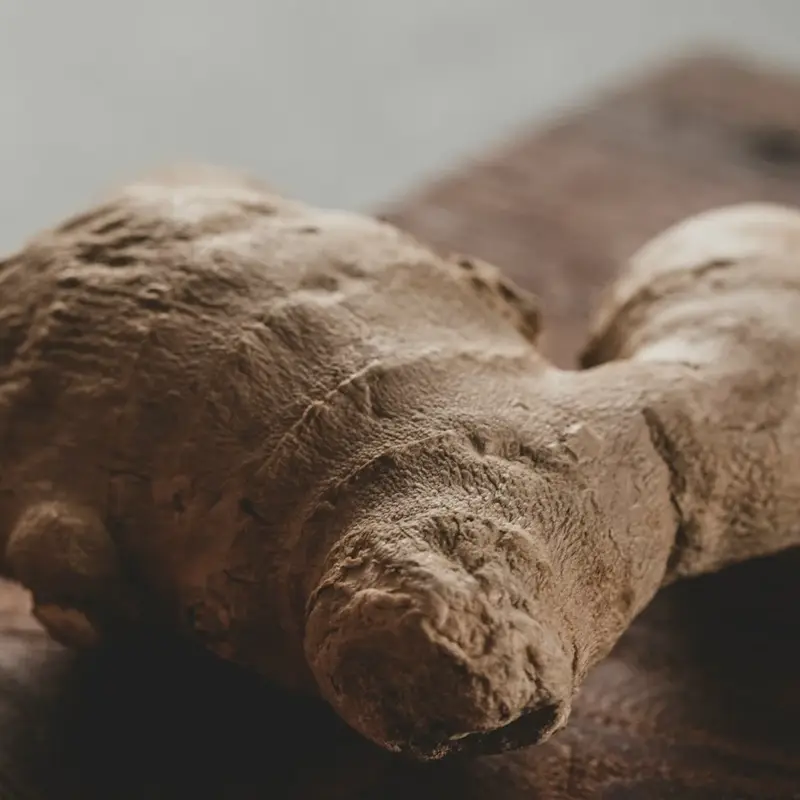 Ginger Business In Africa, Explore Investment Opportunities in Arise IIP SEZs, Special Economic Zones Guide.