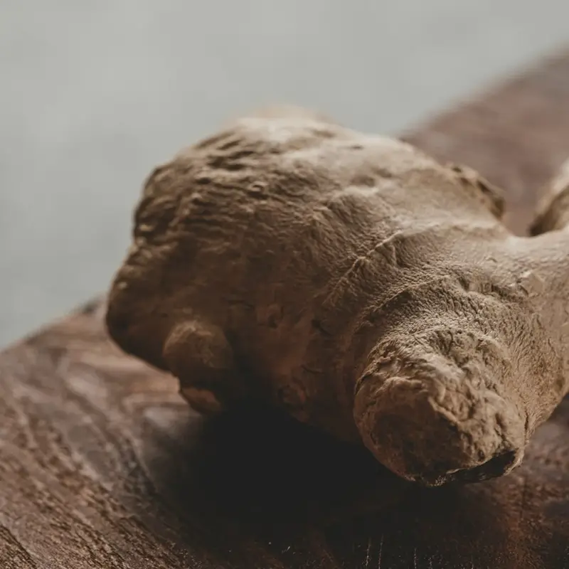 GINGER CAPABILITIES & FACILITIES IN AFRICA Capabilites & Facilities in Arise IIP industrial zones, SEZs of Africa For Investors