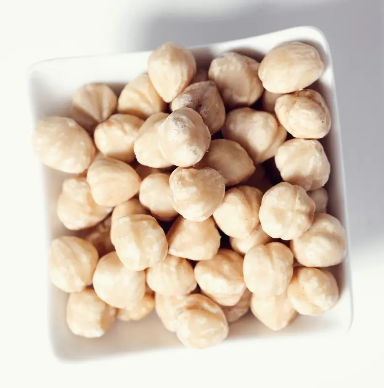 Macadamia Nuts Business Opportunity, Nuts & Dry Fruits By-Product Markets, Africa For Investors