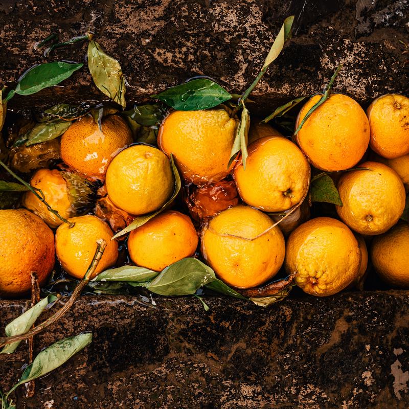 FRUITPROCESSING CAPABILITIES & FACILITIES IN IVORY Capabilites & Facilities in PEIA, Ivory Coast, Arise IIP industrial zones, SEZs of Africa For Investors