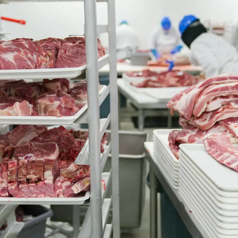 Meat Processing Business Investment in ZISARH, Chad, Africa, Industry Opportunities for Investors in Arise IIP SEZs, Special Economic Zones.