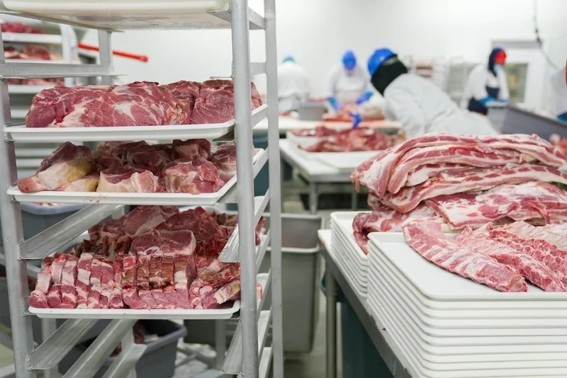 Meat Processing  Business In Africa, Explore Investment Opportunities in Arise IIP SEZs, Special Economic Zones Guide.