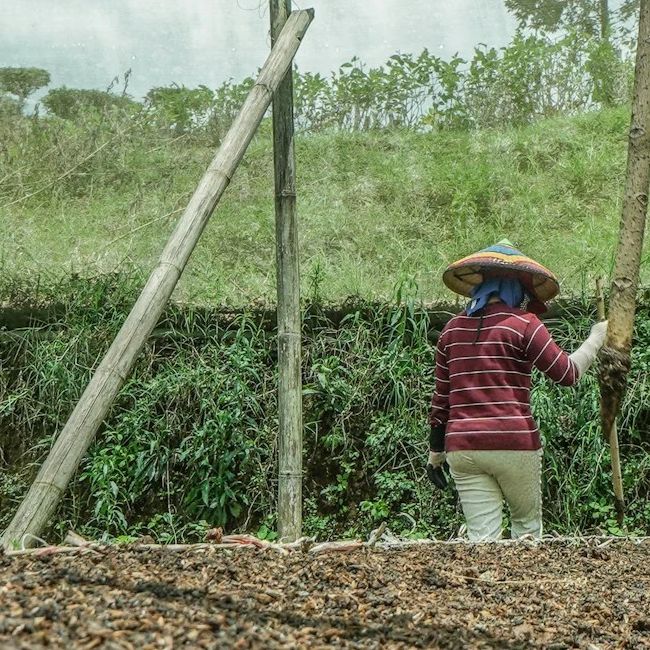 CASSAVA CAPABILITIES & FACILITIES IN RWANDA Capabilites & Facilities in BSEZ, Rwanda, Arise IIP industrial zones, SEZs of Africa For Investors