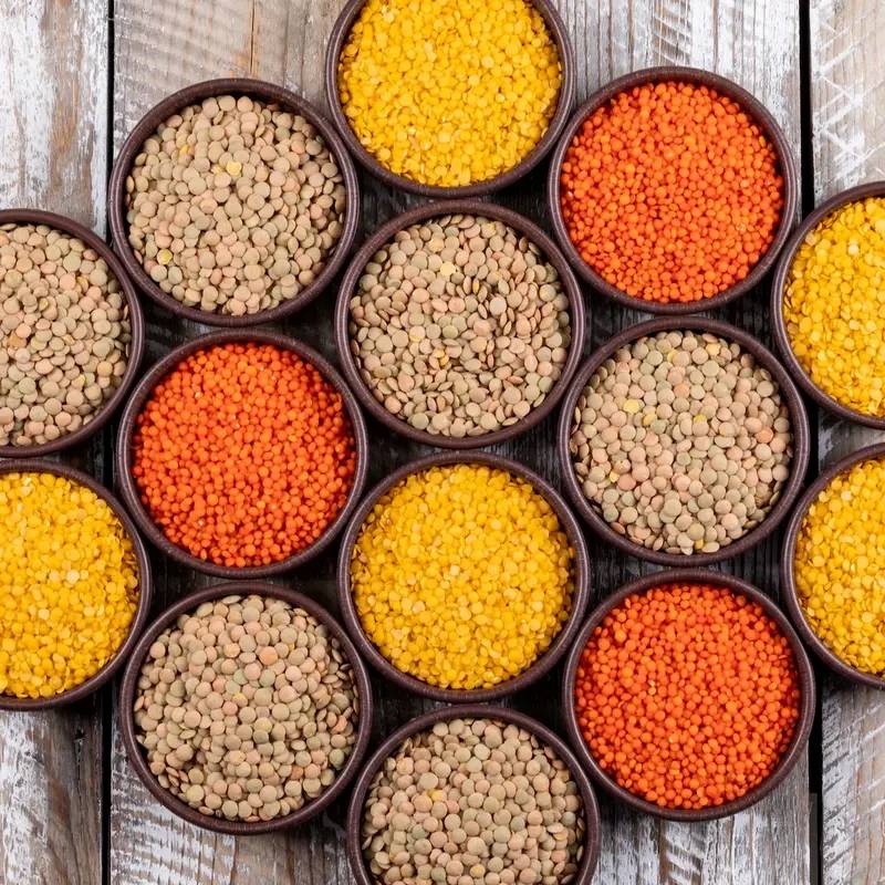 Lentils Business Opportunity, Grains, Cereals & Pulses By-Product Markets, Africa For Investors