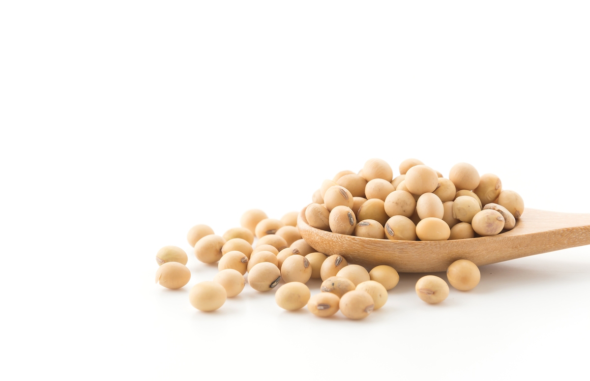 Soya Bean business advantages in Africa