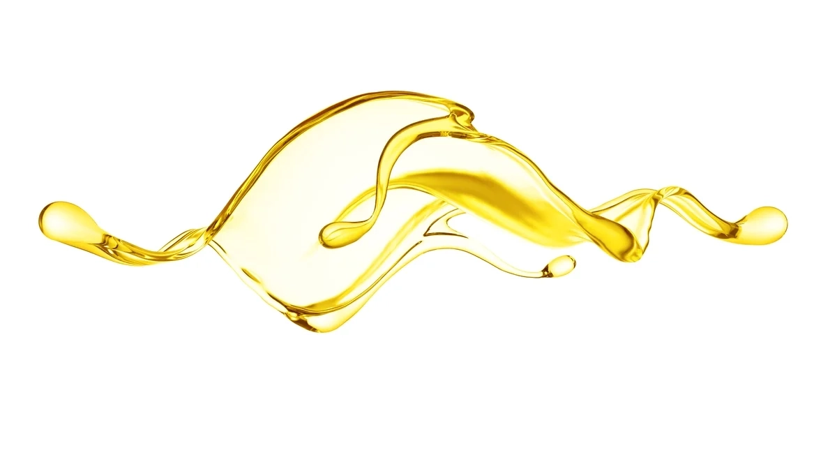 Palm Oil business advantages in Africa