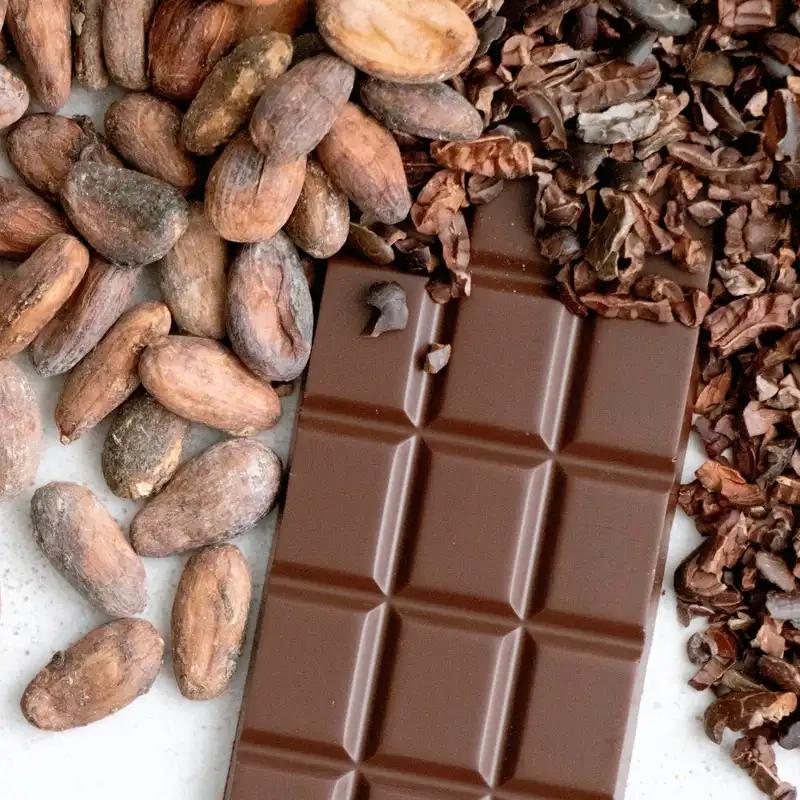 Cocoa Business Investment In Africa, Business Opportunities for Investors in Arise IIP SEZs, Special Economic Zones.