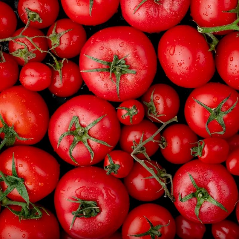Tomatoes Business Opportunity, Vegetables By-Product Markets, Africa For Investors