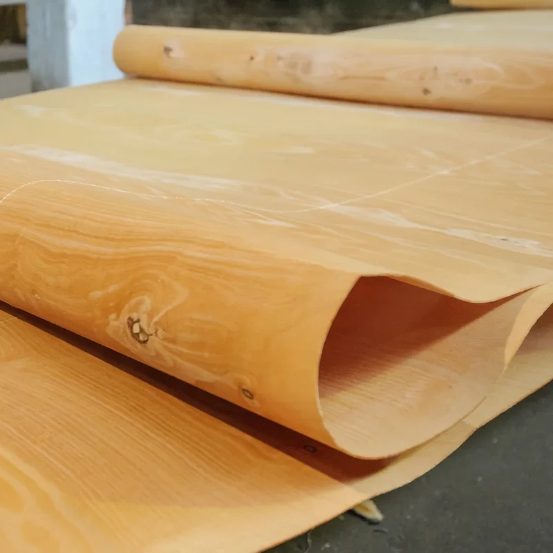 Veneer Business In Africa, Explore Investment Opportunities in Arise IIP SEZs, Special Economic Zones Guide.