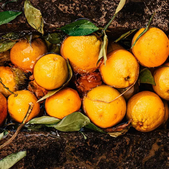 FRUITPROCESSING CAPABILITIES & FACILITIES IN PIA Capabilites & Facilities in PIA, Togo, Arise IIP industrial zones, SEZs of Africa For Investors