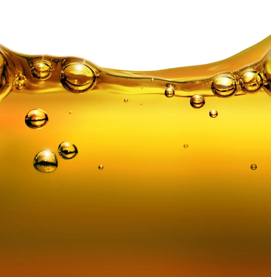 Why Invest in Agro-Processing Business in Africa? Edible oil production, Africa For Investors, Arise IIP SEZs.Africa For Investors, Arise IIP SEZs.