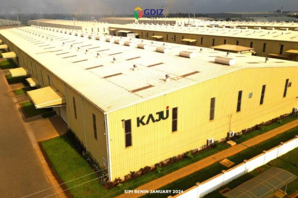 Benin Cashew SA: Taking Significant Strides in Africa's Agro-Industrial Sector, Africa For Investors, Arise IIP SEZs