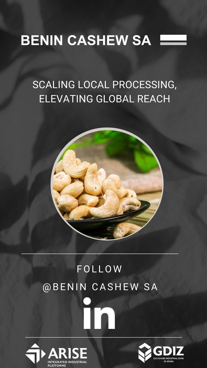 Benin Cashew SA: Taking Significant Strides in Africa's Agro-Industrial Sector, Benin Cashew SA, Africa For Investors, Arise IIP SEZs