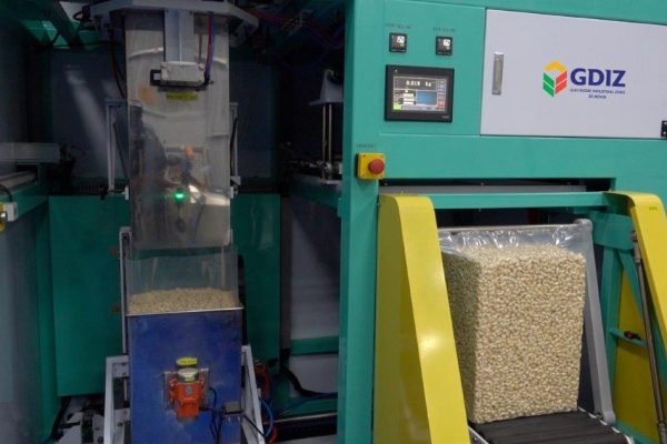 Benin Cashew SA: Taking Significant Strides in Africa's Agro-Industrial Sector, Tax Benefits and Business Resources, Africa For Investors, Arise IIP SEZs.