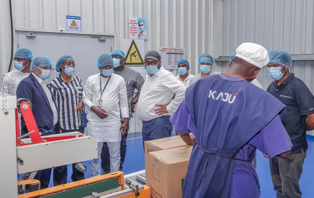 Celebrating Success: 555 Containers and Counting for Benin Cashew SA, Africa For Investors, Arise IIP SEZs